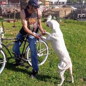 Meet your Posher, Jerry